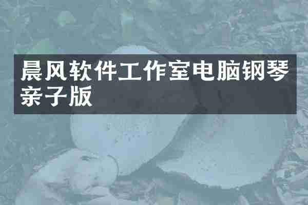 晨风软件工作室电脑钢琴亲子版