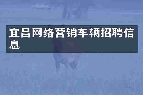 宜昌网络营销车辆招聘信息