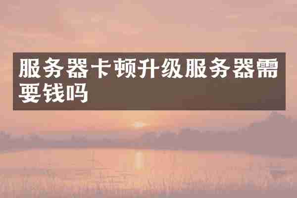 服务器卡顿升级服务器需要钱吗