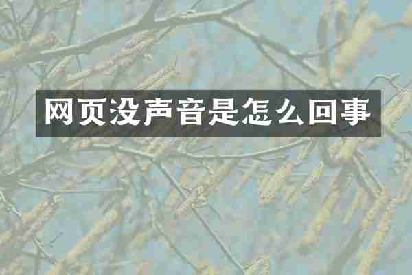 网页没声音是怎么回事