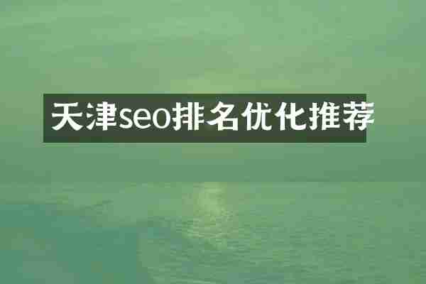 天津seo排名优化推荐