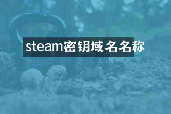 steam密钥域名名称
