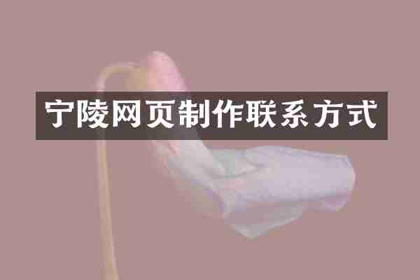 宁陵网页制作联系方式