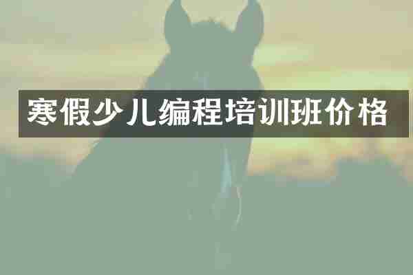寒假少儿编程培训班价格