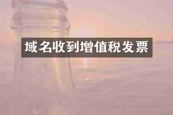 域名收到增值税发票