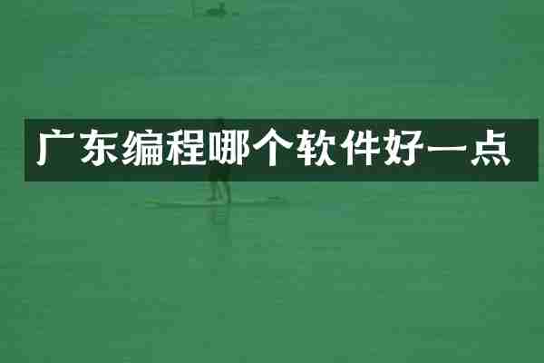 广东编程哪个软件好一点