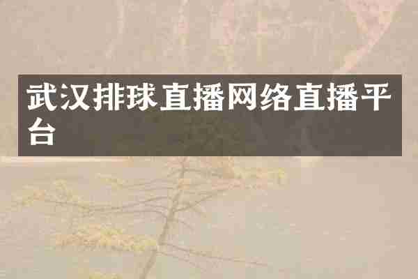 武汉排球直播网络直播平台