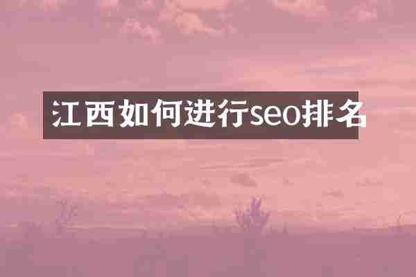 江西如何进行seo排名