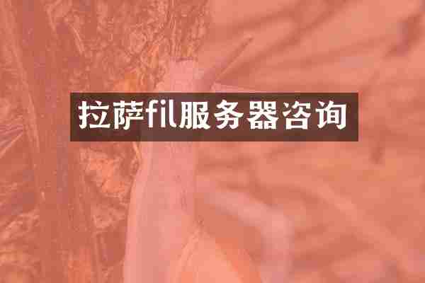 拉萨fil服务器咨询