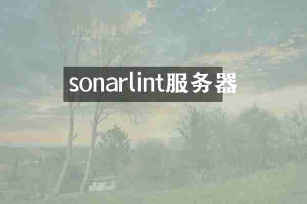 sonarlint服务器