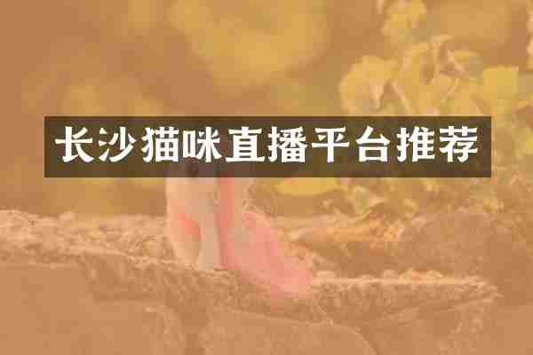 长沙猫咪直播平台推荐
