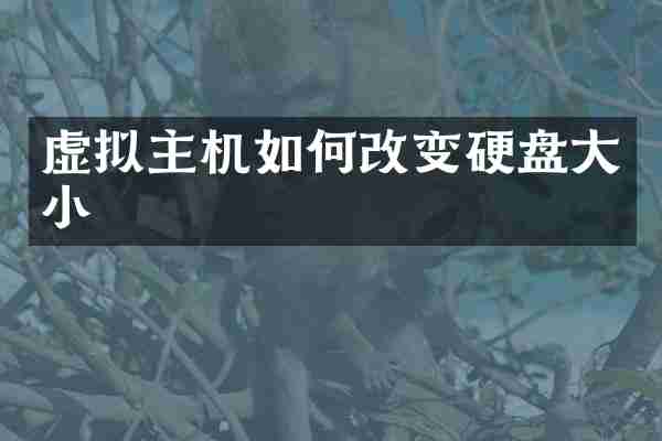 虚拟主机如何改变硬盘大小
