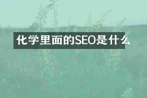 化学里面的SEO是什么