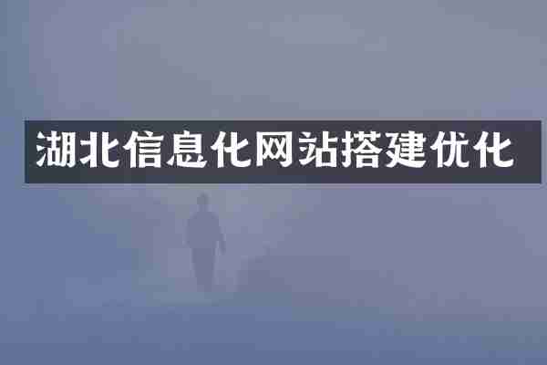 湖北信息化网站搭建优化