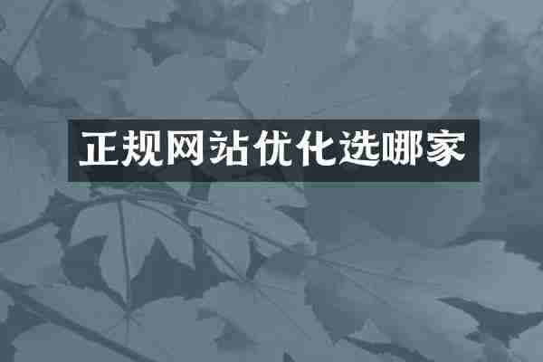 正规网站优化选哪家