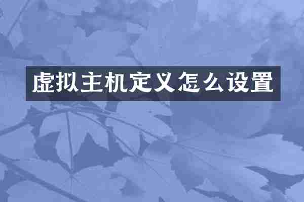 虚拟主机定义怎么设置