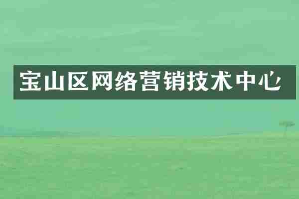 宝山区网络营销技术中心