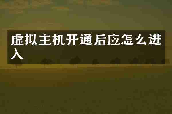 虚拟主机开通后应怎么进入