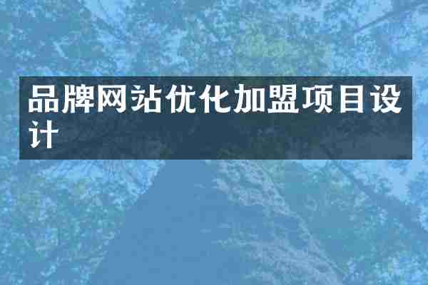 品牌网站优化加盟项目设计