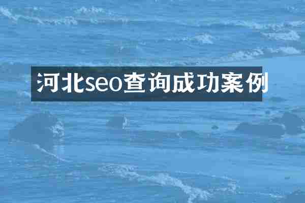 河北seo查询成功案例