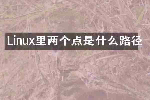 Linux里两个点是什么路径