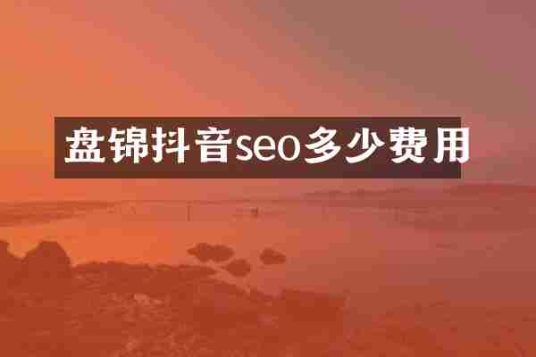 盘锦抖音seo多少费用