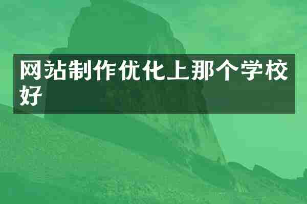网站制作优化上那个学校好