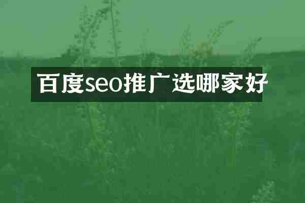 百度seo推广选哪家好
