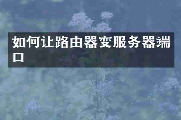 如何让路由器变服务器端口