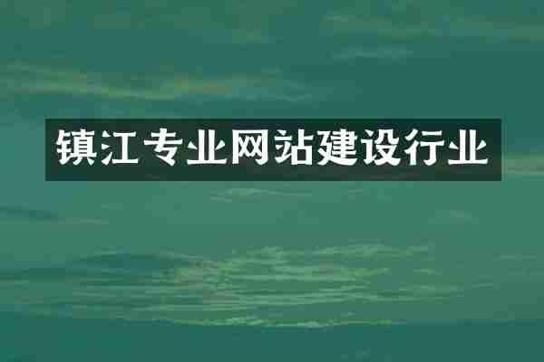 镇江专业网站建设行业