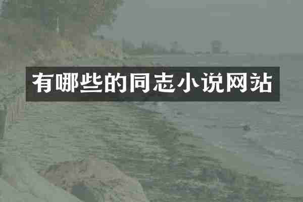 有哪些的同志小说网站