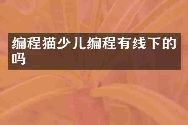 编程猫少儿编程有线下的吗