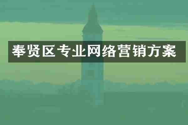 奉贤区专业网络营销方案
