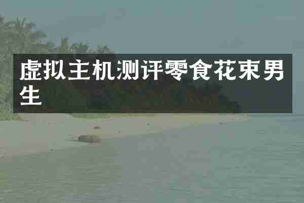 虚拟主机测评零食花束男生