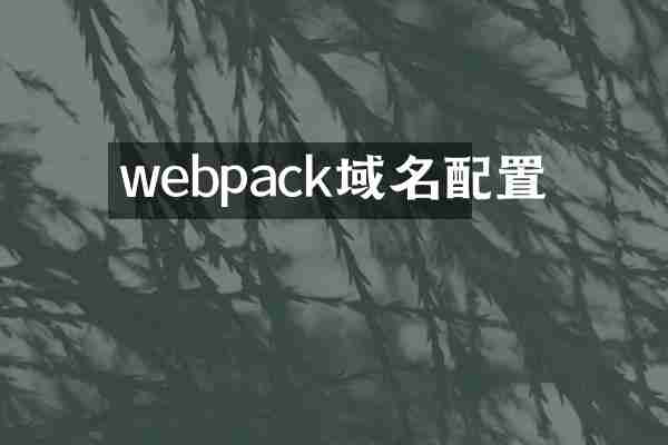 webpack域名配置