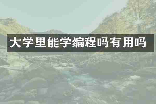 大学里能学编程吗有用吗