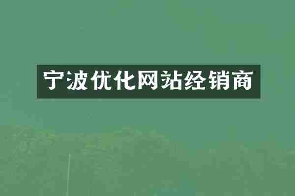 宁波优化网站经销商