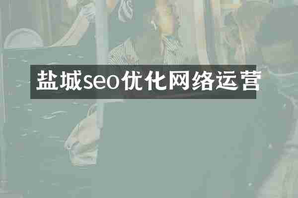 盐城seo优化网络运营