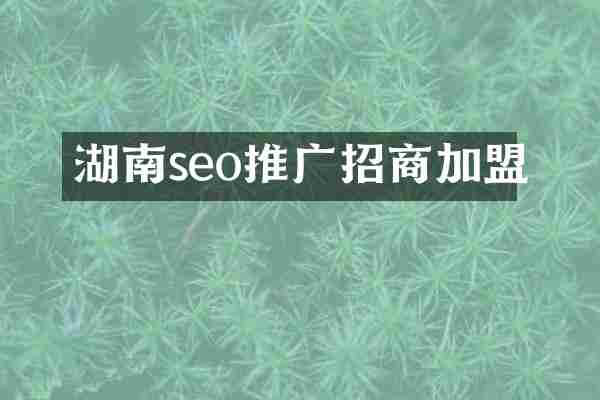 湖南seo推广招商加盟
