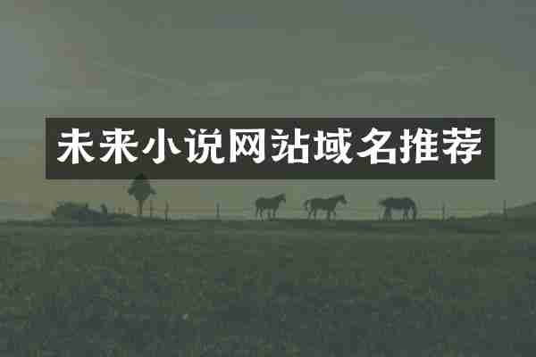 未来小说网站域名推荐