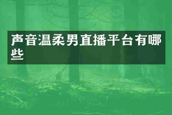 声音温柔男直播平台有哪些