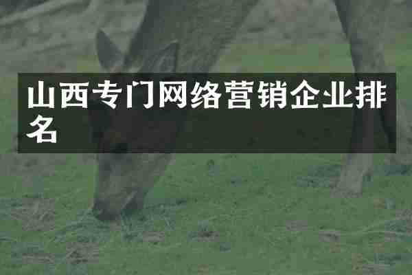 山西专门网络营销企业排名