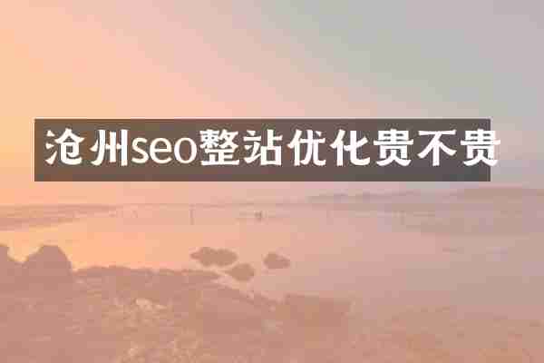 沧州seo整站优化贵不贵