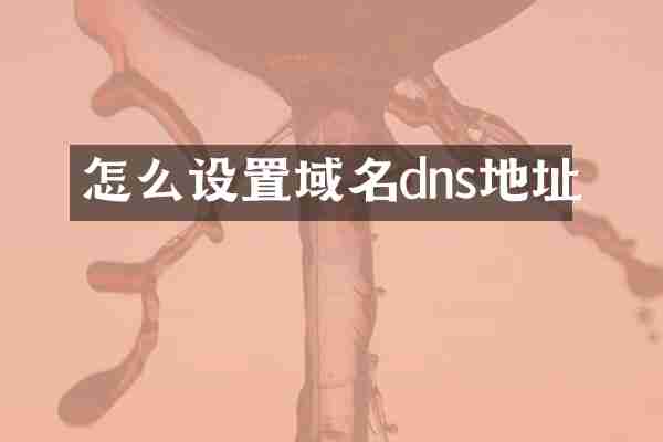 怎么设置域名dns地址