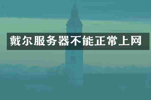 戴尔服务器不能正常上网