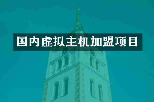 国内虚拟主机加盟项目
