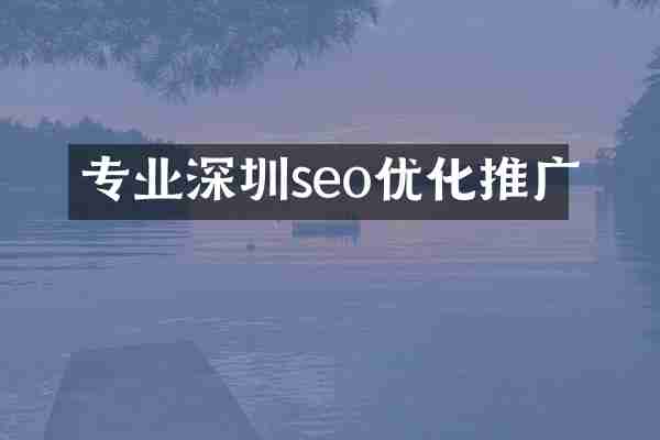 专业深圳seo优化推广
