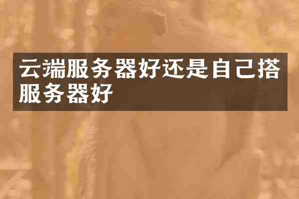 云端服务器好还是自己搭服务器好