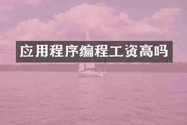 应用程序编程工资高吗