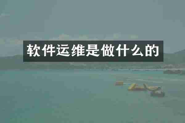 软件运维是做什么的
